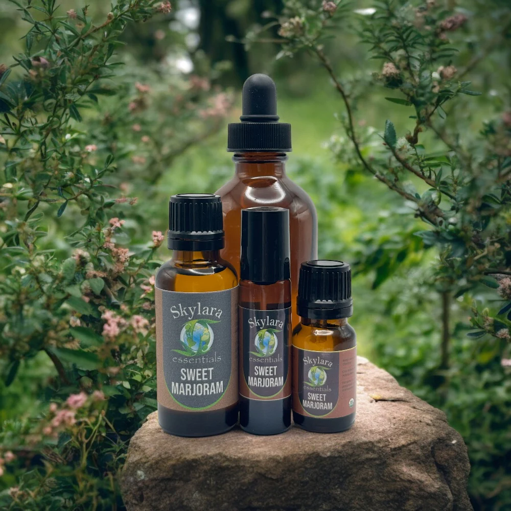 Sweet Marjoram Essential Oil