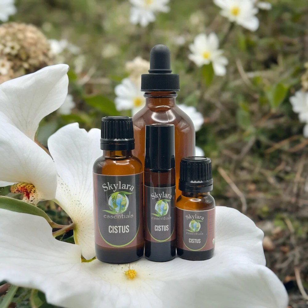 Cistus (Rock Rose) Essential Oil