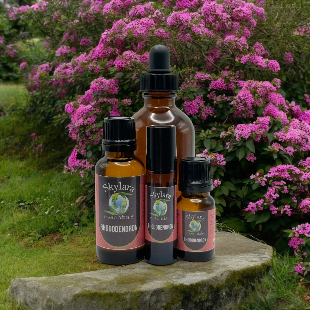 Rhododendron Essential Oil