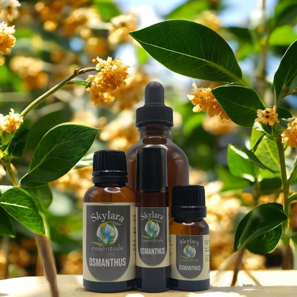 Osmanthus Essential Oil