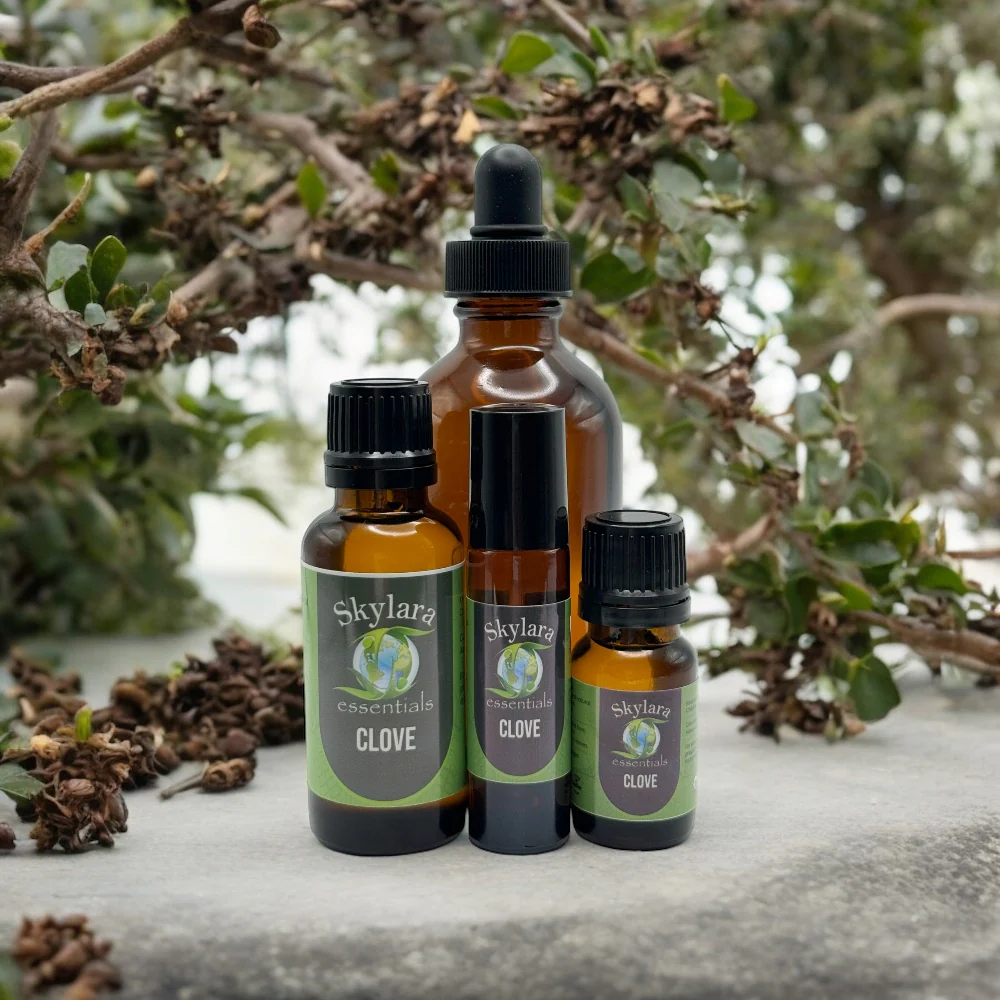 Clove Essential Oil
