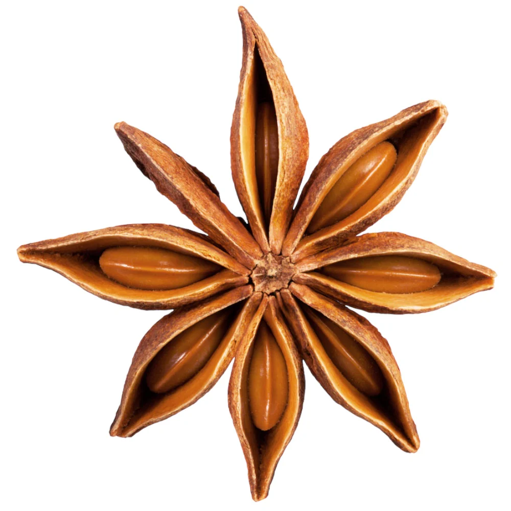 Anise Star Essential Oil Ready-to-Label 12 bottles