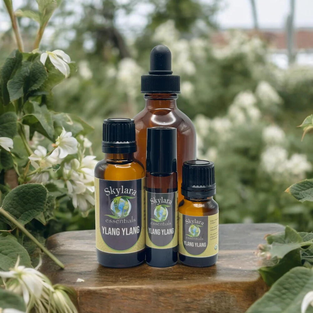 Ylang Ylang Essential Oil