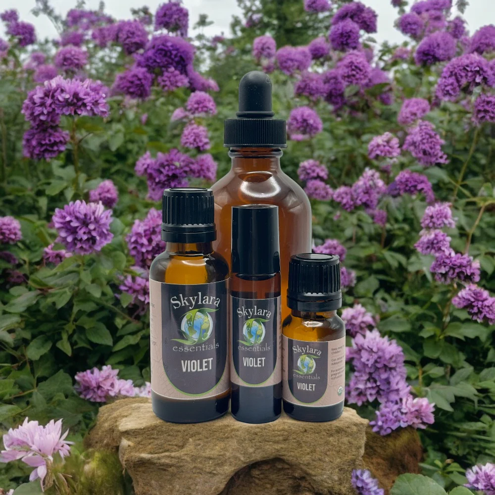 Violet Essential Oil