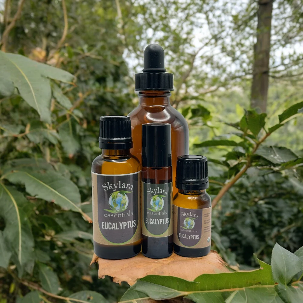 Eucalyptus Essential Oil