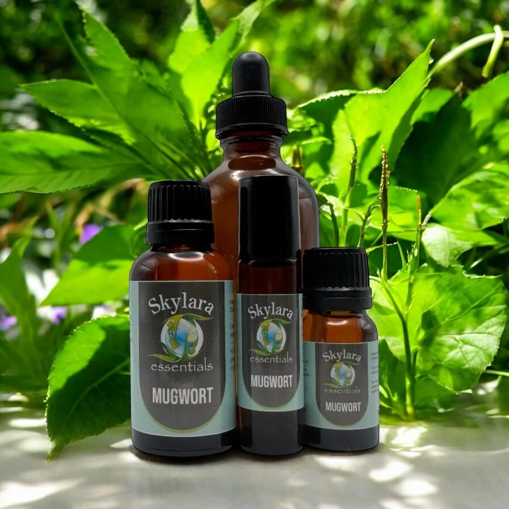 Mugwort Essential Oil