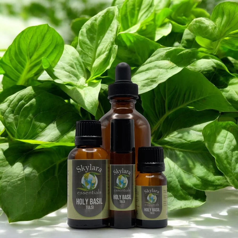 Holy Basil (Tulsi) Essential Oil