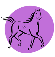Micromedforhorses