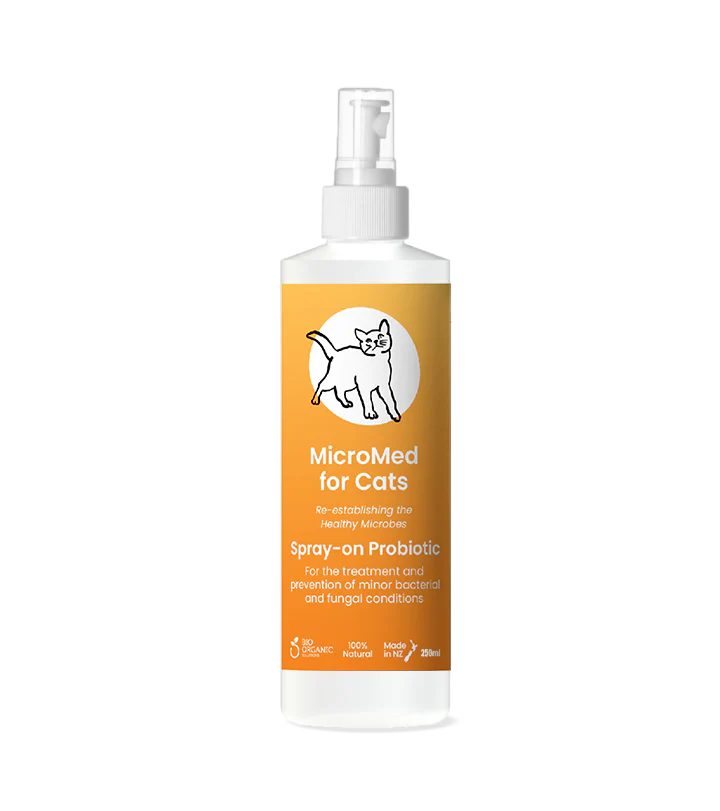 MicroMed for Cats Acute Care
