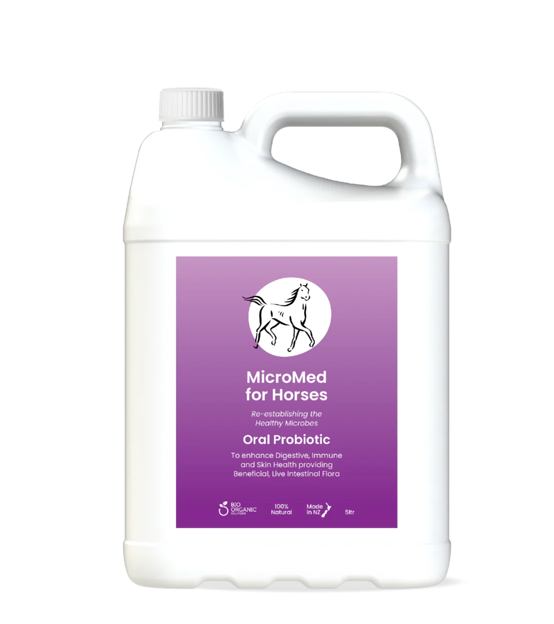 MicroMed for Horses Everyday Care