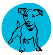 Micromedfordogs