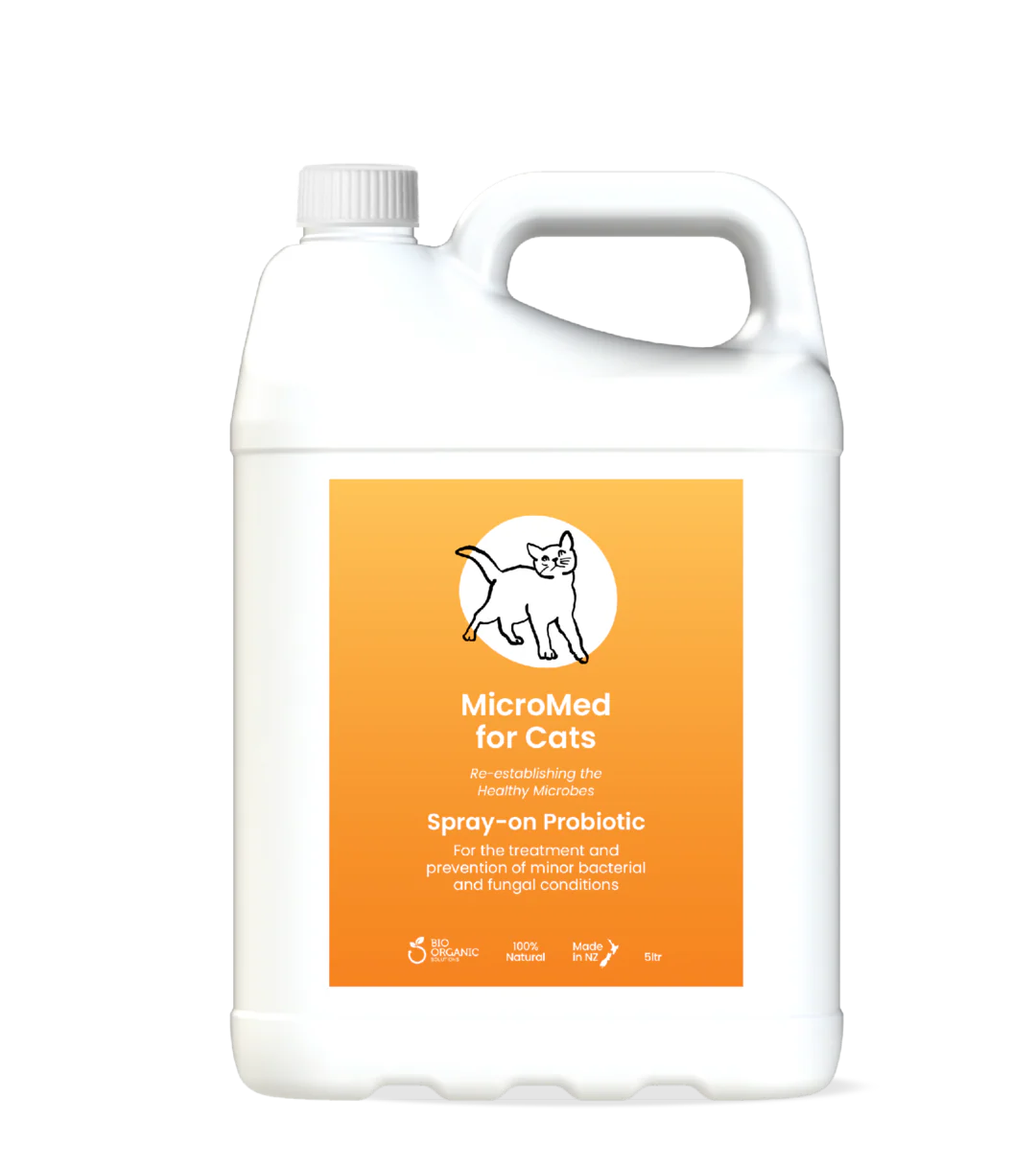 MicroMed for Cats Acute Care