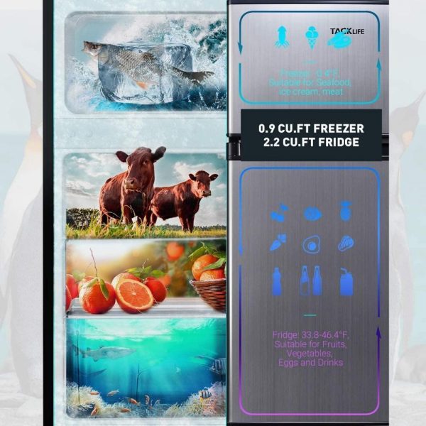 2024 Mini Fridge with Freezer, 3.1 Cu.Ft Small Refrigerator, Compact Refrigerator with LED Light