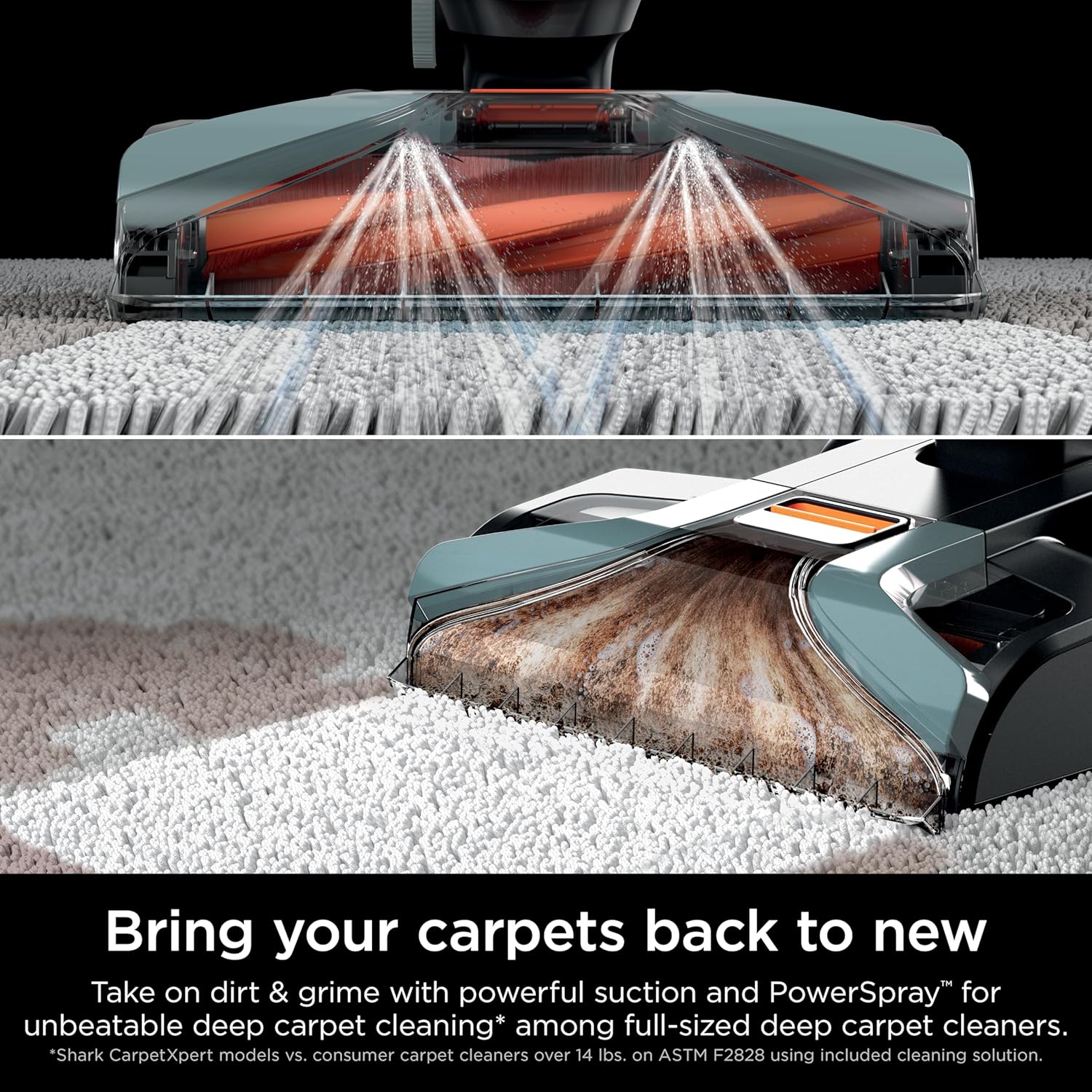 Shark CarpetXpert EX201 Carpet Cleaner, Cyan  C Deep Cleaning with StainStriker, Perfect for Pets, Includes Spot & Stain Remover Tools