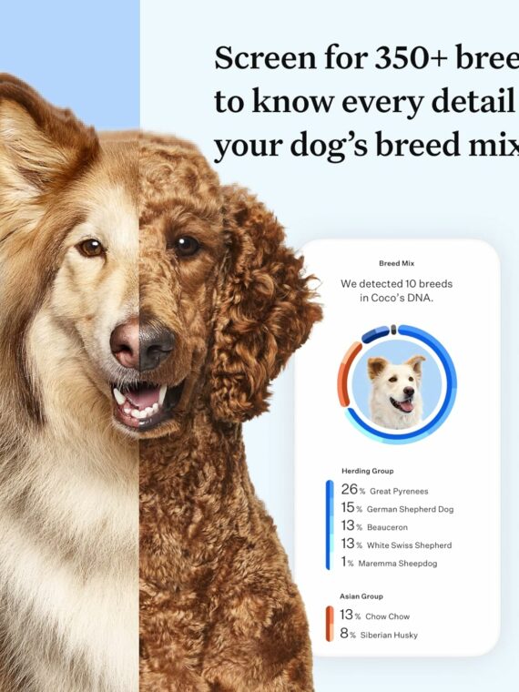 Wisdom Panel Essential Dog DNA Kit: Most Accurate Test for 365+ Breeds  30 Genetic Health Conditions  50+ Traits  Relatives  Ancestry �C 1 Pack