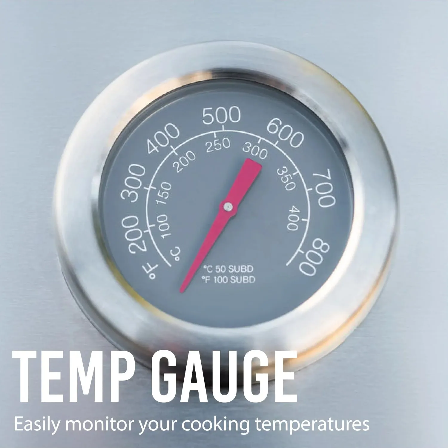 Expert Grill 5-Burner Propane Gas Grill with Side Burner