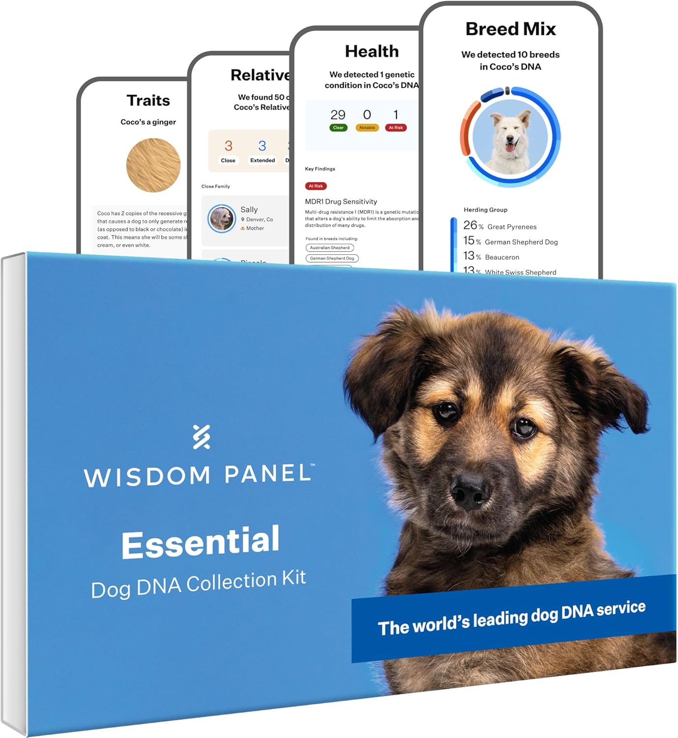 Wisdom Panel Essential Dog DNA Kit: Most Accurate Test for 365+ Breeds  30 Genetic Health Conditions  50+ Traits  Relatives  Ancestry �C 1 Pack