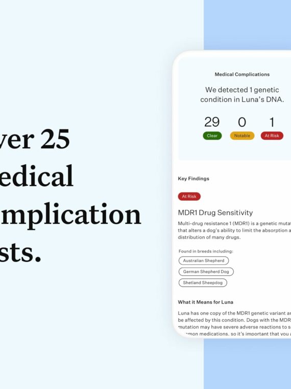 Wisdom Panel Essential Dog DNA Kit: Most Accurate Test for 365+ Breeds  30 Genetic Health Conditions  50+ Traits  Relatives  Ancestry �C 1 Pack