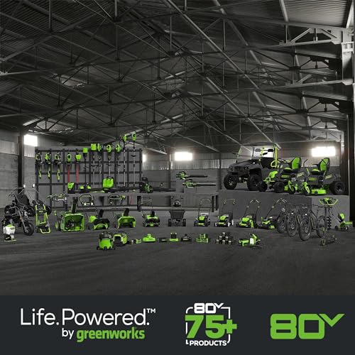 Greenworks 80V 21