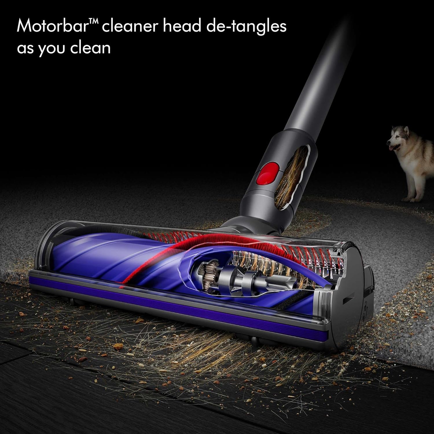 Dyson V8 Cordless Vacuum Cleaner �C V8 Animal Extra