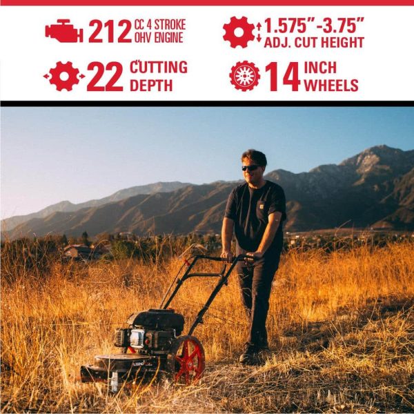 22 in. 173 cc Gas Walk Behind String Trimmer/Mower