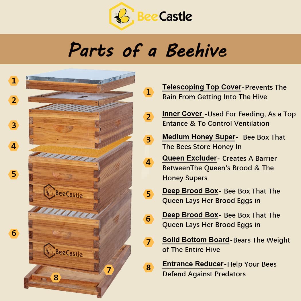 BeeCastle 10 Frame Langstroth Bee Hive Coated