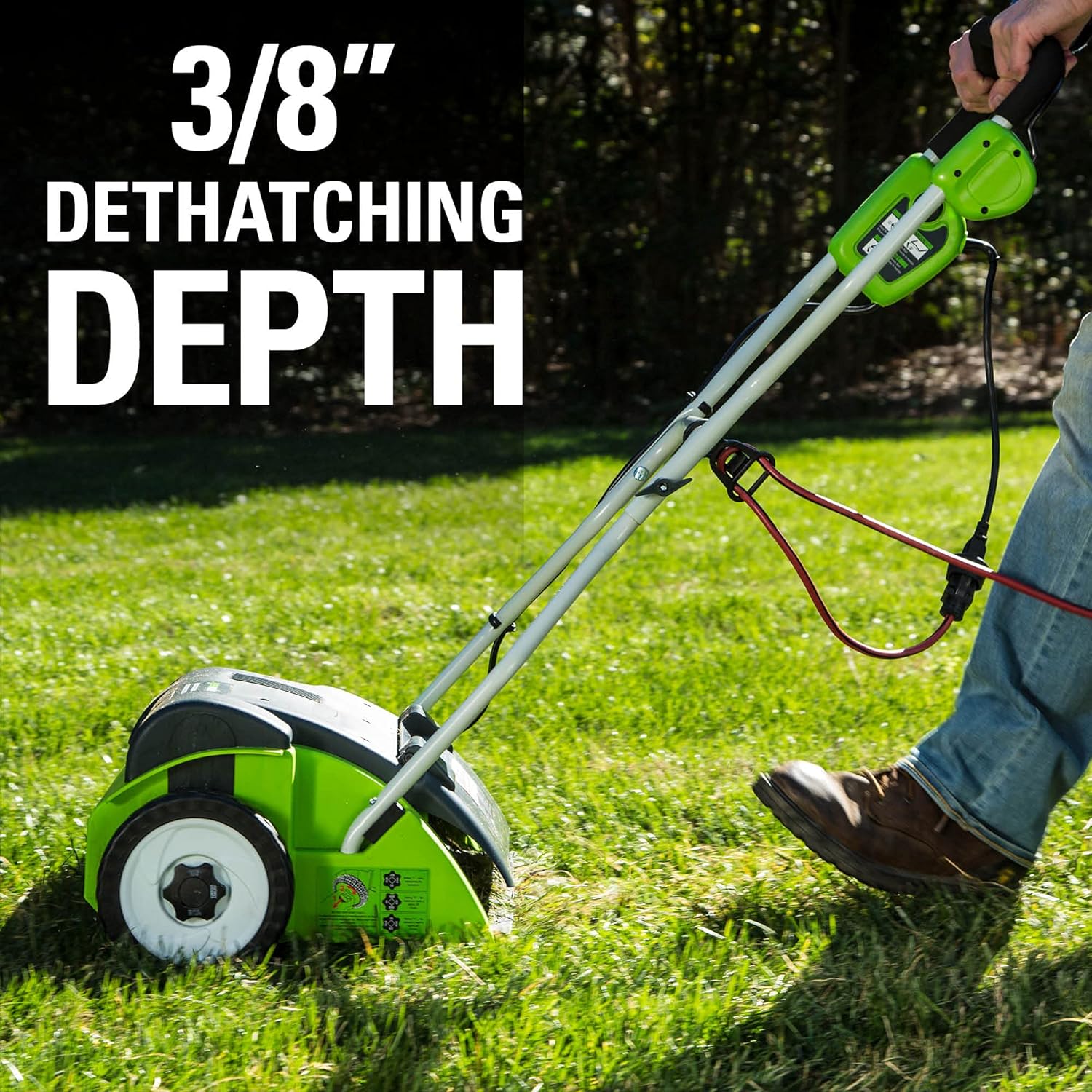 Greenworks 13 Amp 14-Inch Corded Dethatcher