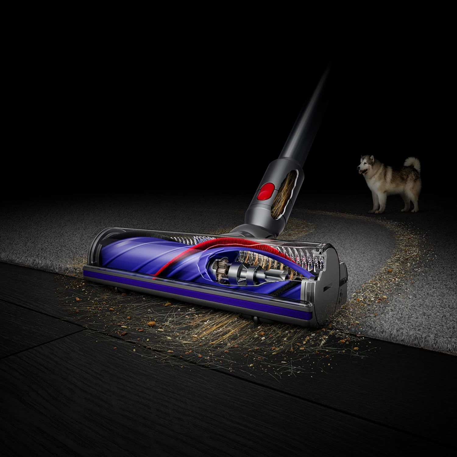 Dyson V8 Cordless Vacuum Cleaner �C V8 Animal Extra