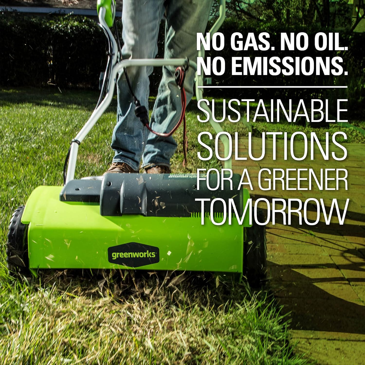 Greenworks 13 Amp 14-Inch Corded Dethatcher