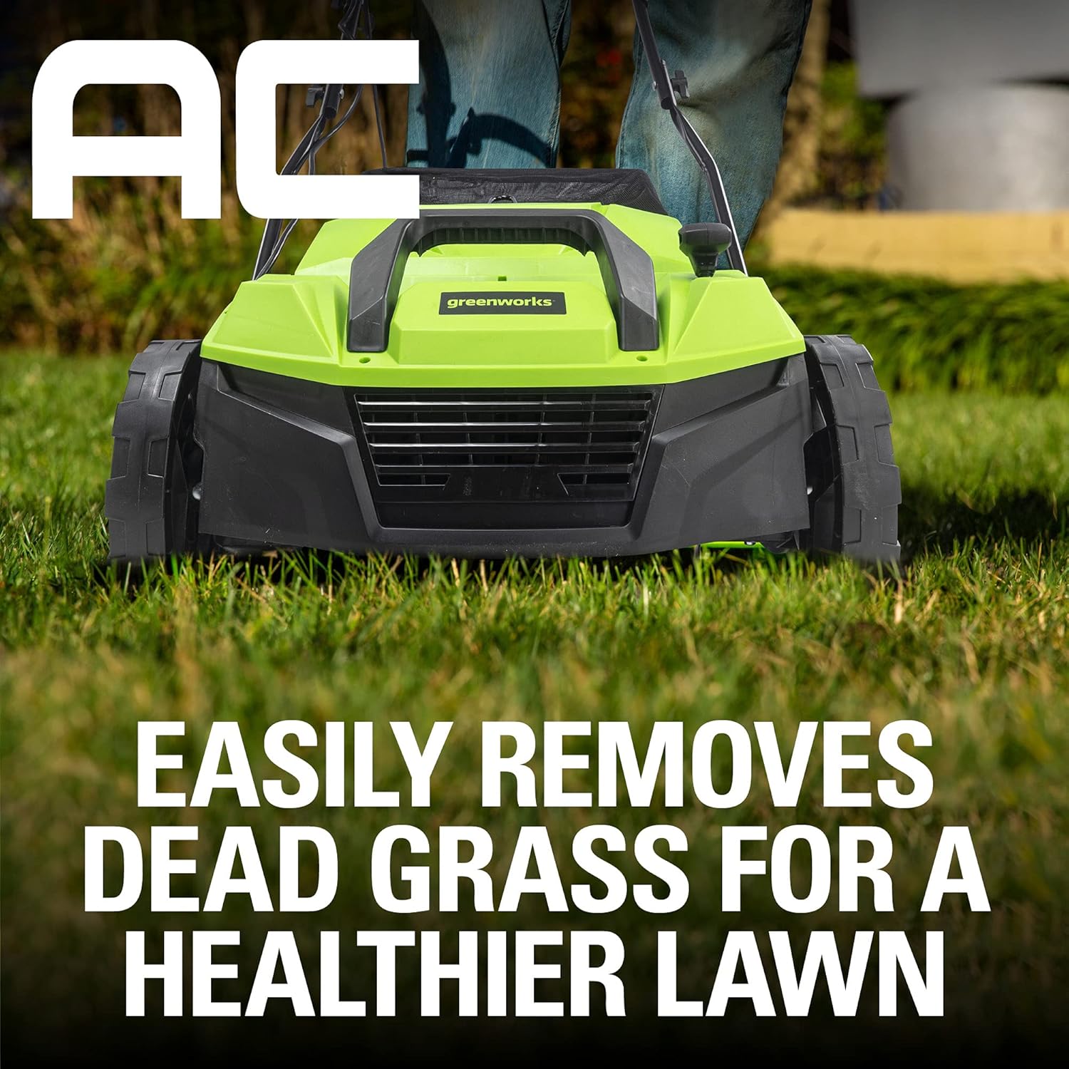 Greenworks 13 Amp 14-Inch Corded Dethatcher