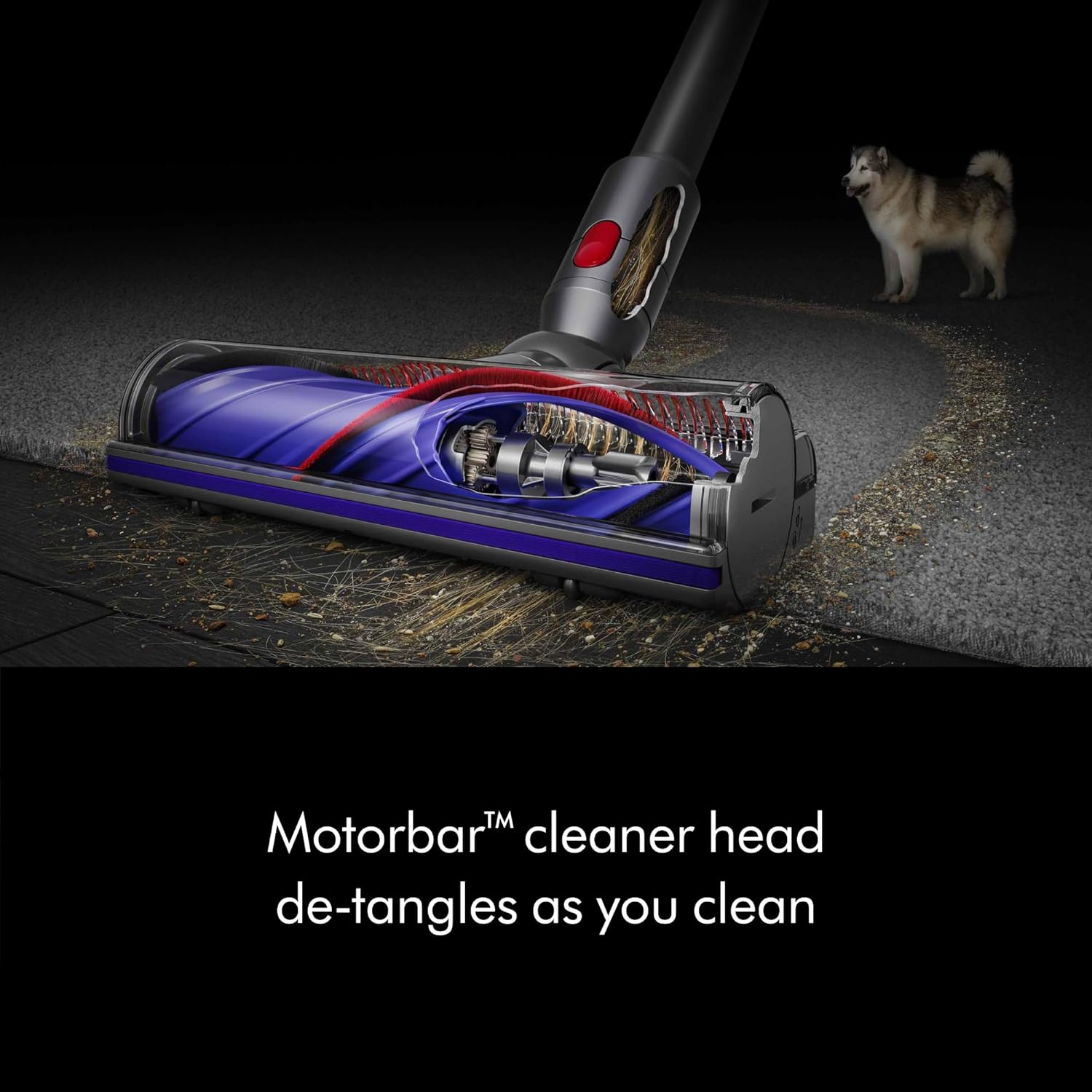 Dyson V8 Cordless Vacuum Cleaner �C V8 Animal Extra