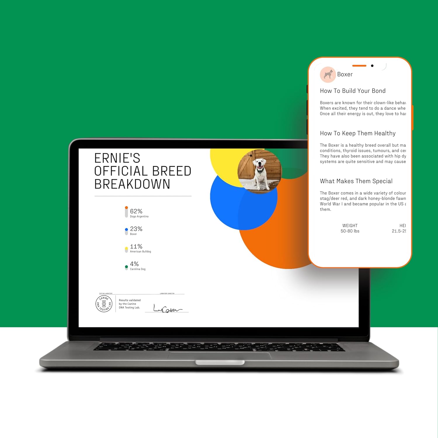 Dna My Dog Essential Breed ID Test �C Accurate Mixed Breed Identification & Personality Insights with Easy Cheek Swab