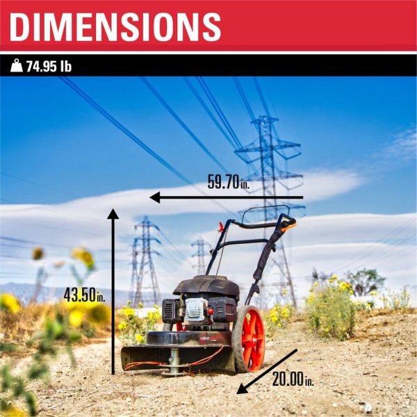 22 in. 173 cc Gas Walk Behind String Trimmer/Mower