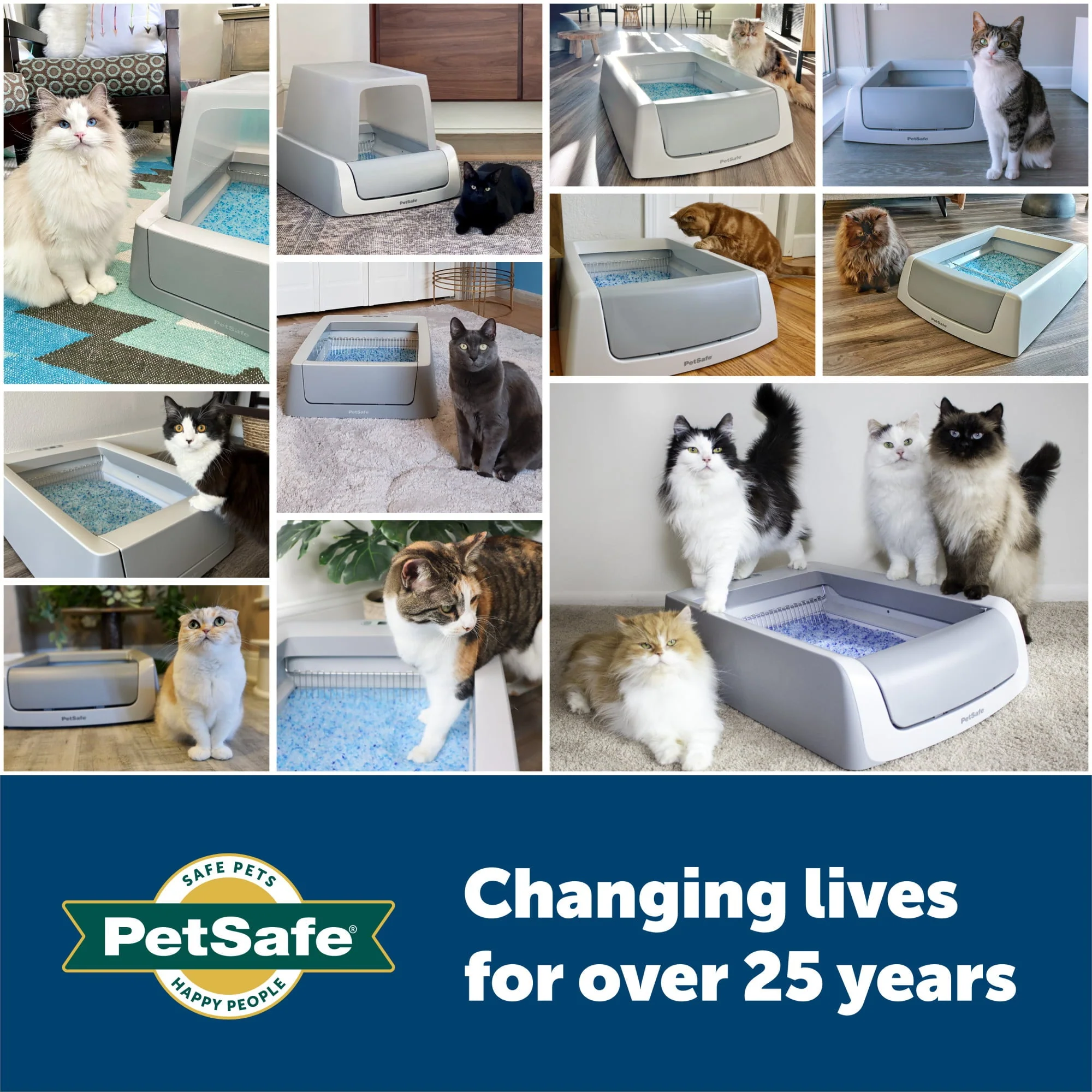 PetSafe ScoopFree Complete Replacement Blue Crystal Litter Tray?? 6-Pack Easy Cleanup with Disposable Tray Includes Leak Protection and Low Tracking Litter