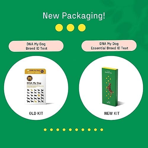 Dna My Dog Essential Test ?C Breed ID Test Mixed Breed Identification Personality Traits for Puppies to Adult Dogs Non-Invasive Cheek Swab