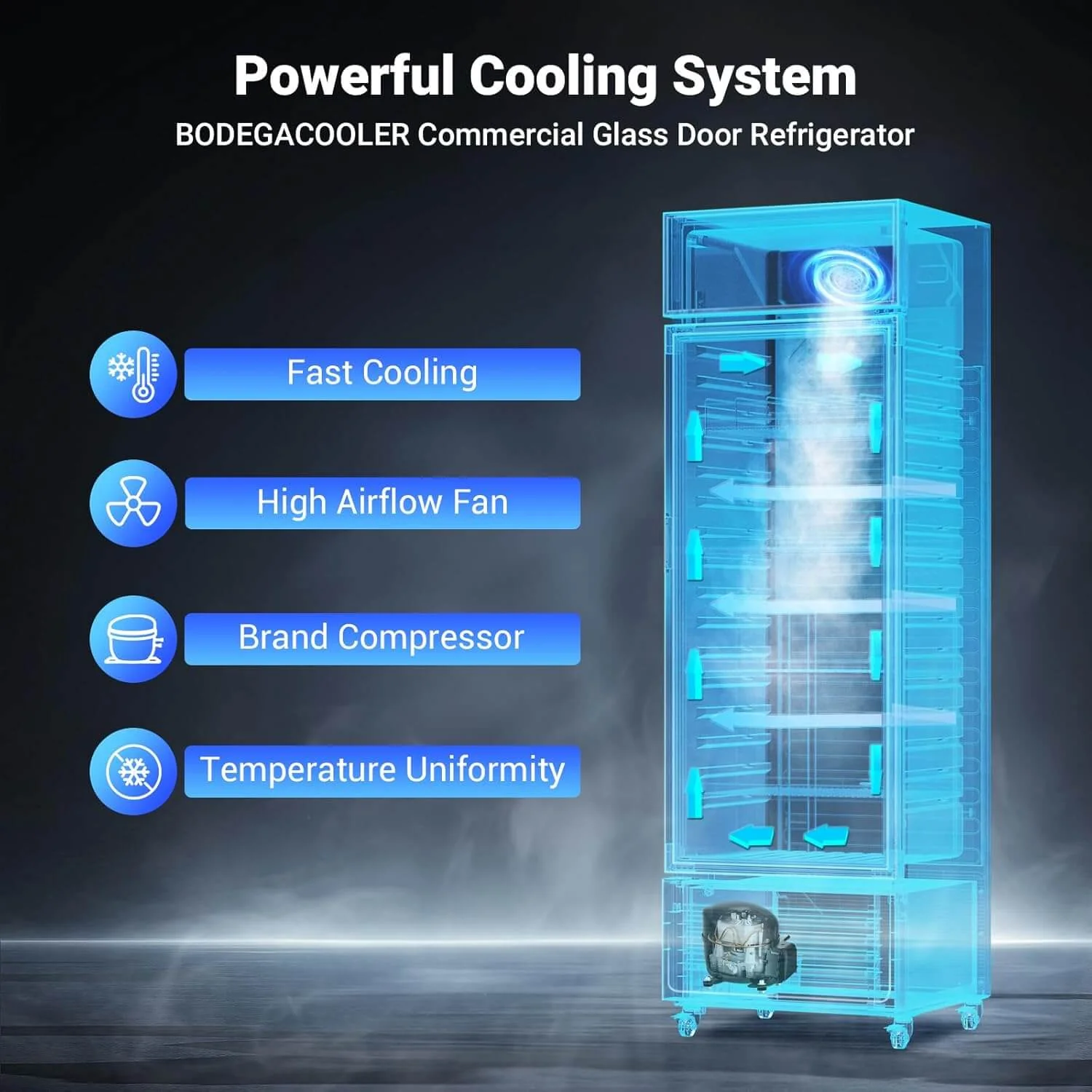 Commercial Glass Door Display Refrigerator Merchandiser 11.3 Cu. Ft