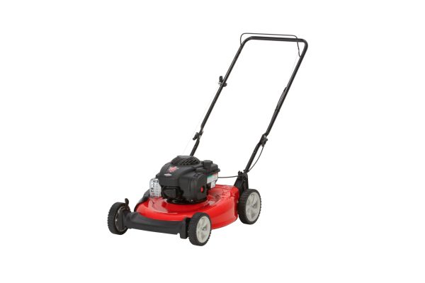 21 125cc Gas Push Lawn Mower