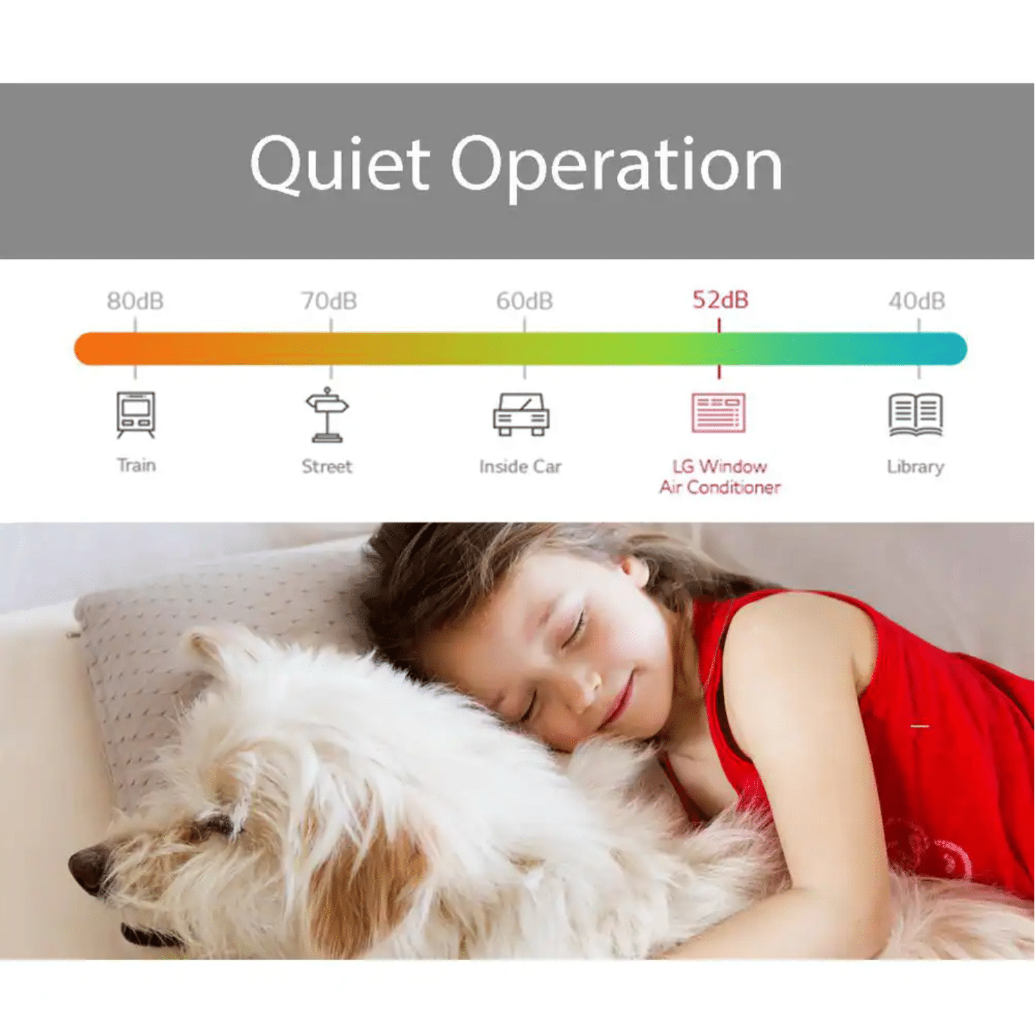 LG Electronics 8??000 BTU 115-Volt Window Air Conditioner LW8016ER