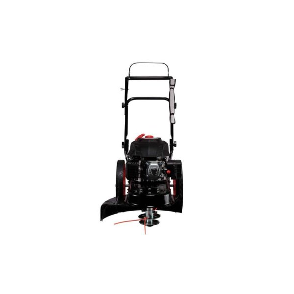 22 in. 173 cc Gas Walk Behind String Trimmer/Mower