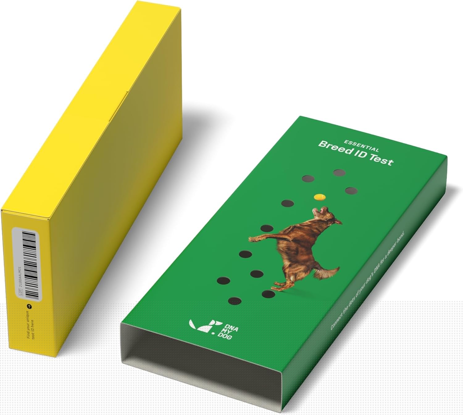 Dna My Dog Essential Breed ID Test �C Accurate Mixed Breed Identification & Personality Insights with Easy Cheek Swab