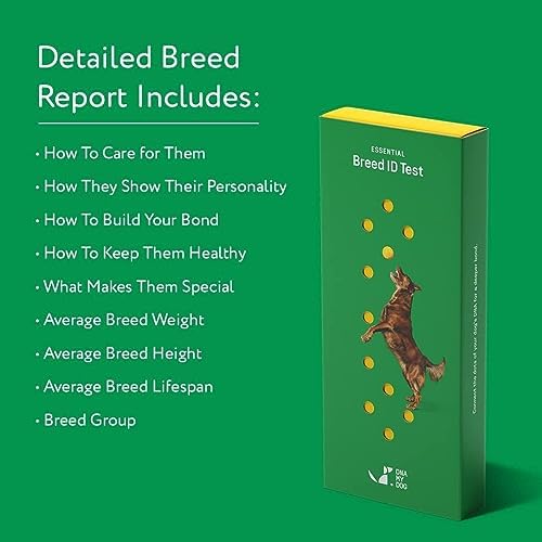Dna My Dog Essential Test ?C Breed ID Test Mixed Breed Identification Personality Traits for Puppies to Adult Dogs Non-Invasive Cheek Swab