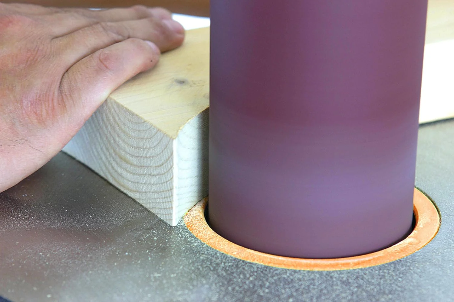 W1831 1/2 HP Single Phase Oscillating Spindle Sander