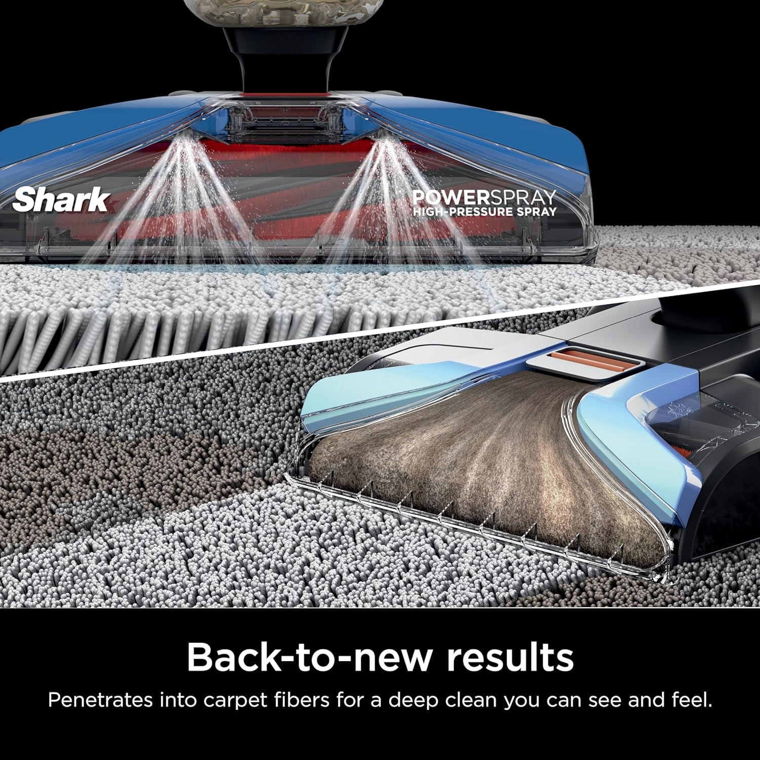 Shark CarpetXpert EX201 Carpet Cleaner, Cyan  C Deep Cleaning with StainStriker, Perfect for Pets, Includes Spot & Stain Remover Tools