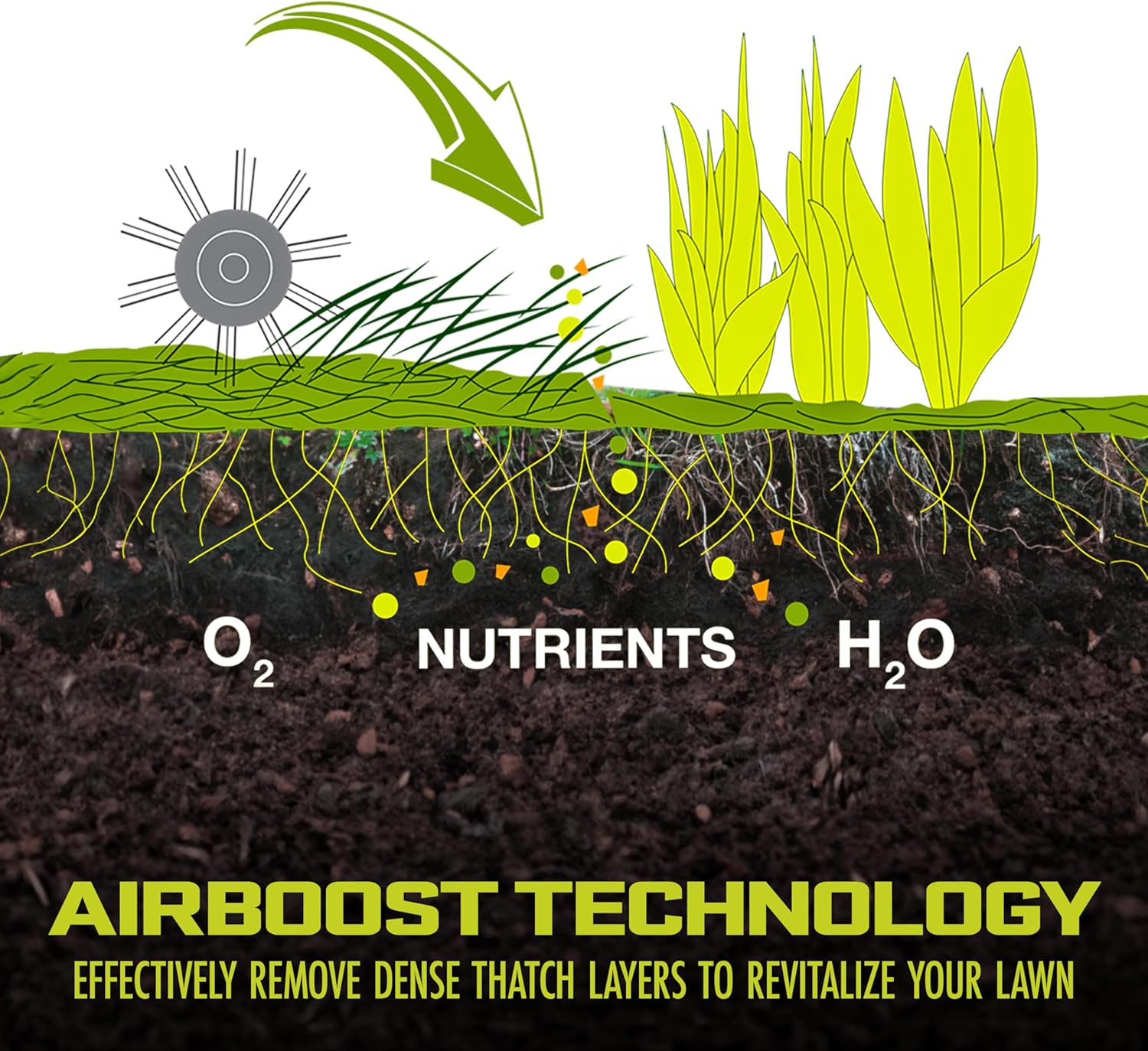 AJ805E 15-Inch 13-Amp Electric Dethatcher and Scarifier w/Removeable 13.2-Gal Collection Bag, 5-Position Height Adjustment, Airboost Technology Increases Lawn Health, Green
