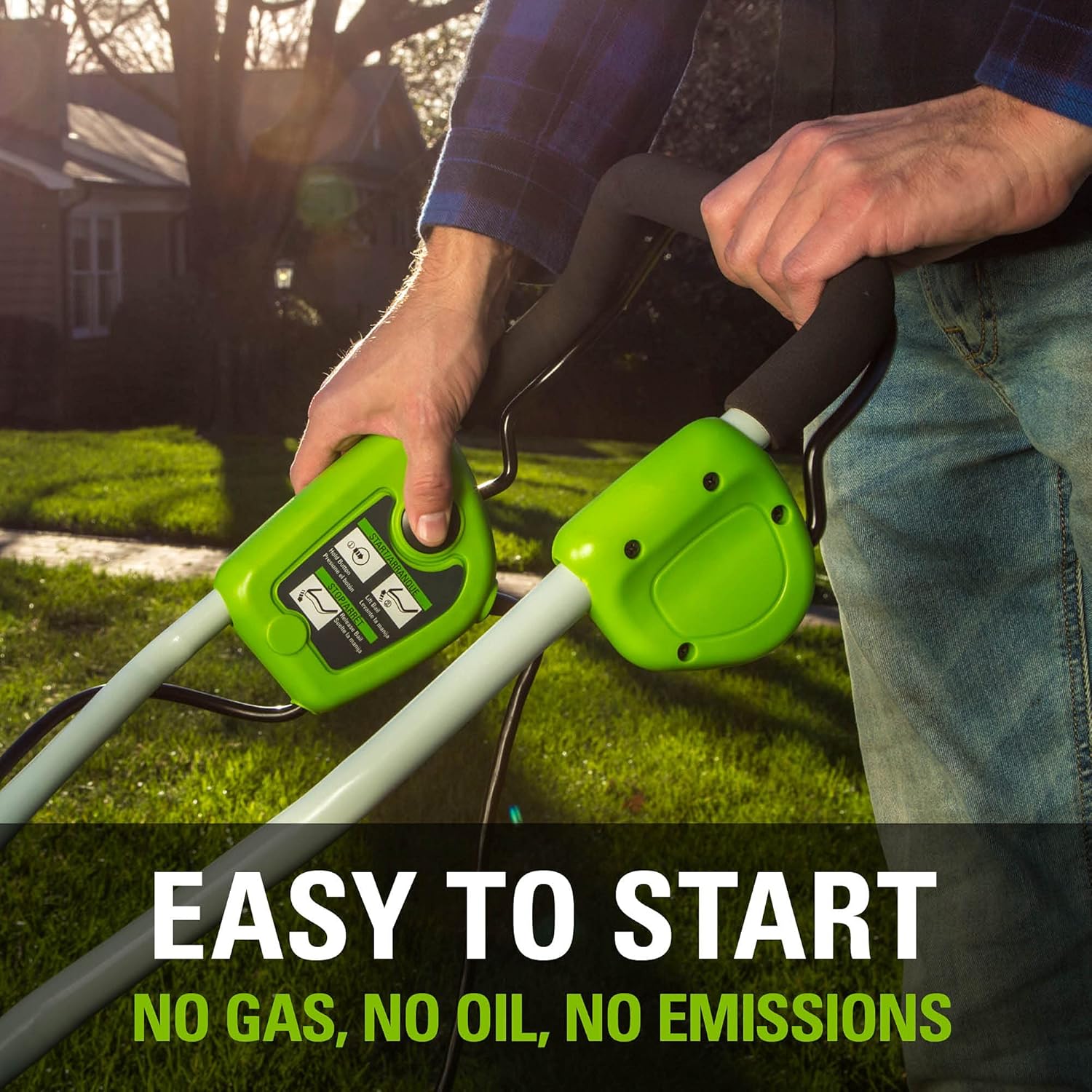 Greenworks 13 Amp 14-Inch Corded Dethatcher