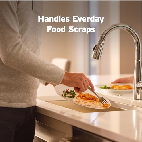 InSinkErator Badger 5 Garbage Disposal, 1/2 HP Continuous Feed, Durable Steel, Easy Install