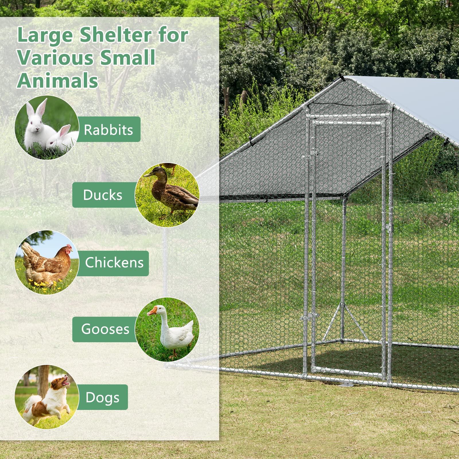 Large Spire-Shaped Chicken Coop (200 cm x 300 cm x 195 cm)