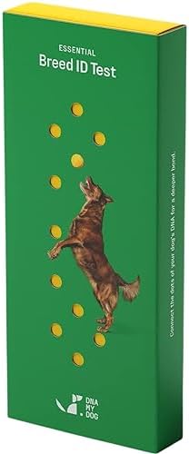 Dna My Dog Essential Test ?C Breed ID Test Mixed Breed Identification Personality Traits for Puppies to Adult Dogs Non-Invasive Cheek Swab