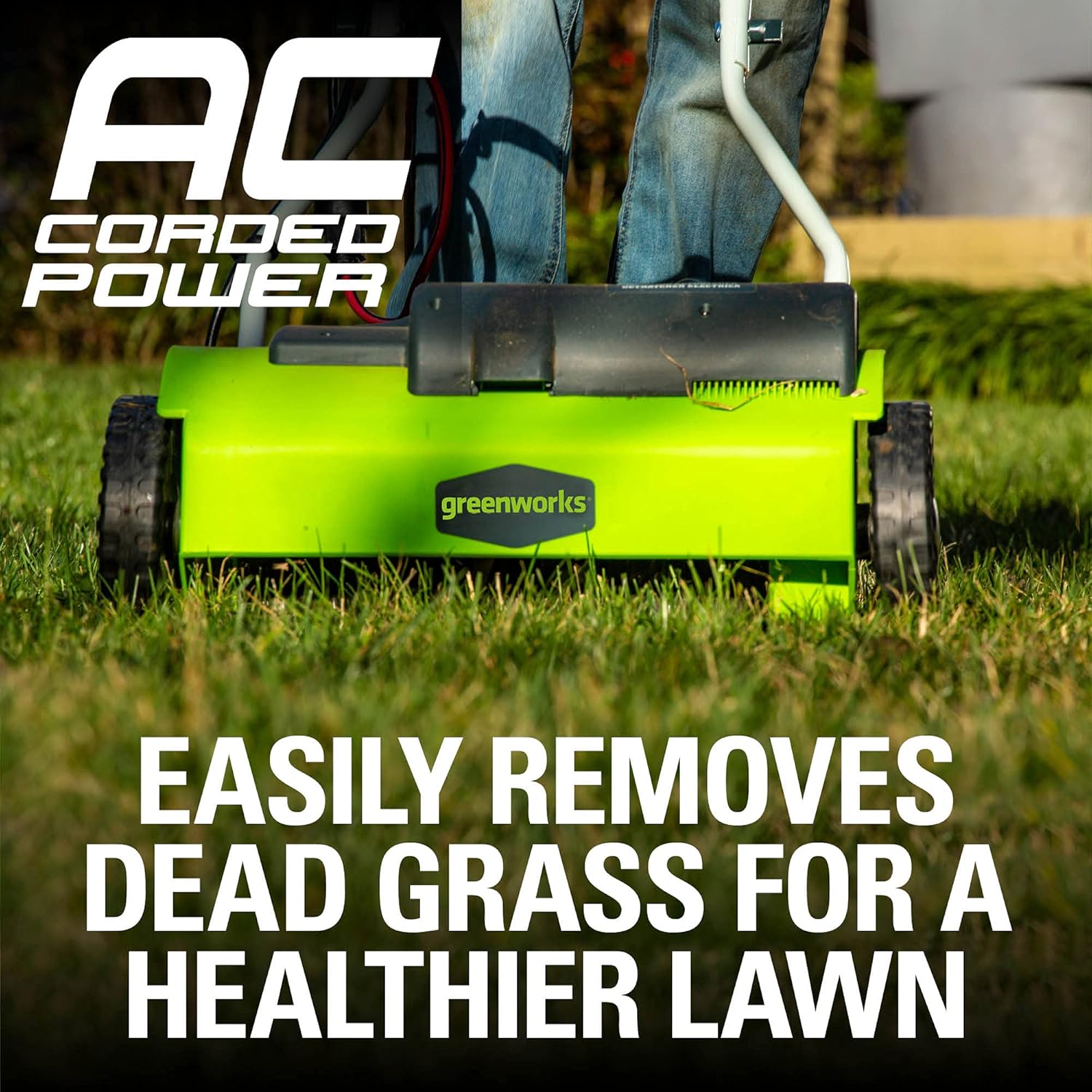 Greenworks 13 Amp 14-Inch Corded Dethatcher