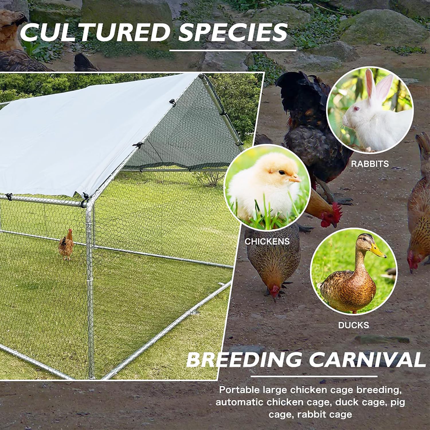 Large Metal Chicken Coop Walk-in Poultry Cage